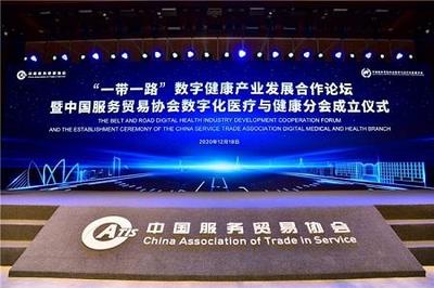 西部首个“一带一路”服务贸易数字医疗技术出口试点基地成立，数字技术服务赋能健康丝路
